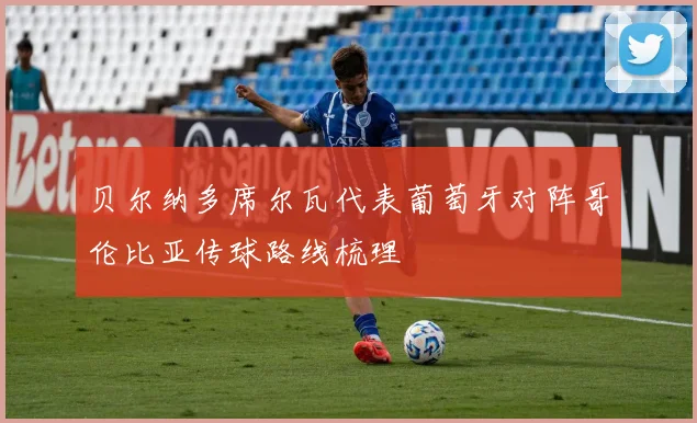 贝尔纳多席尔瓦代表葡萄牙对阵哥伦比亚传球路线梳理