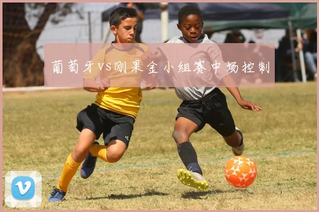 葡萄牙vs刚果金小组赛中场控制