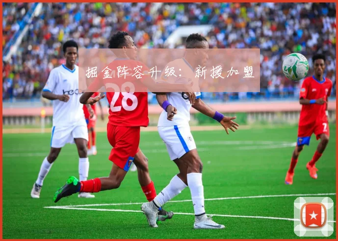 掘金阵容升级：新援加盟