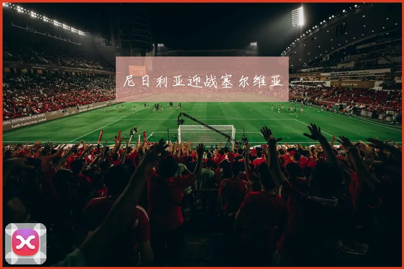 尼日利亚迎战塞尔维亚