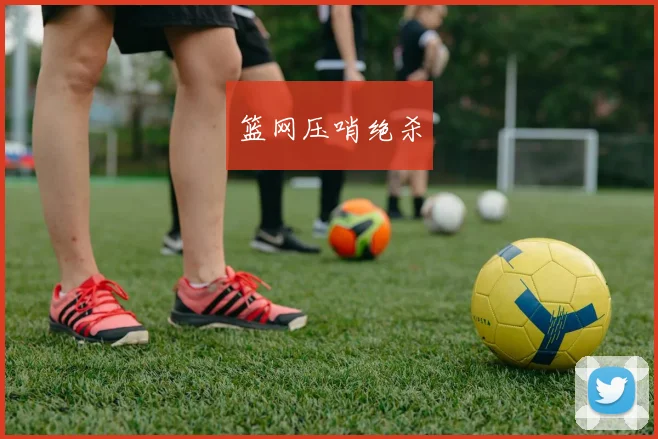 篮网压哨绝杀