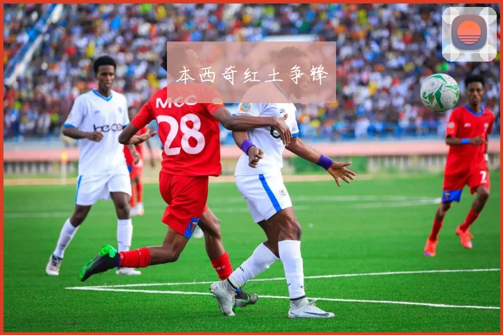 本西奇红土争锋