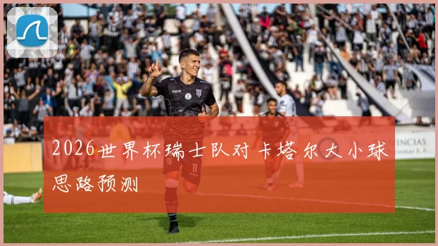 2026世界杯瑞士队对卡塔尔大小球思路预测