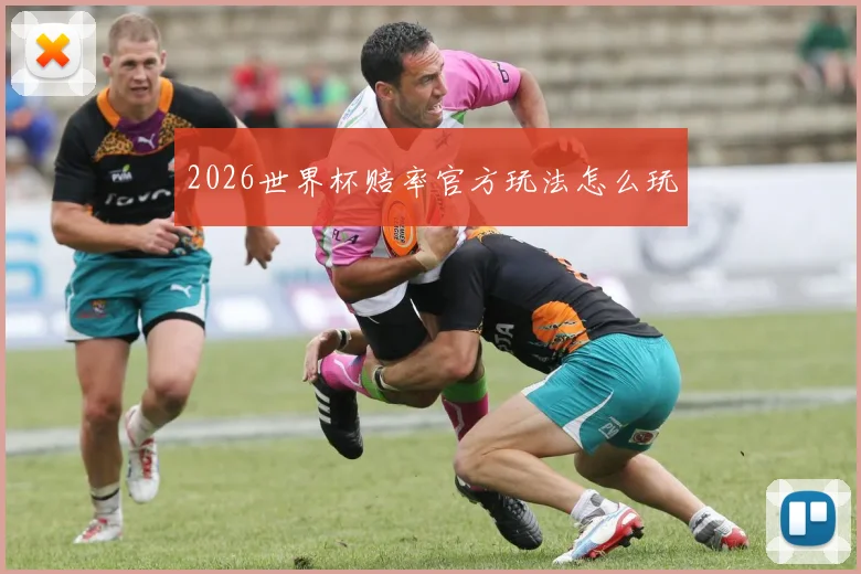 2026世界杯赔率官方玩法怎么玩