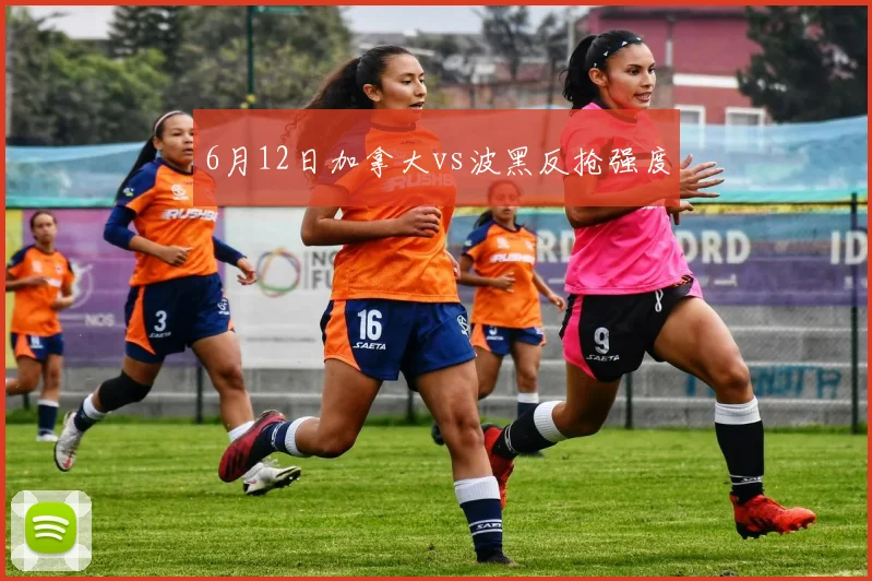 6月12日加拿大vs波黑反抢强度